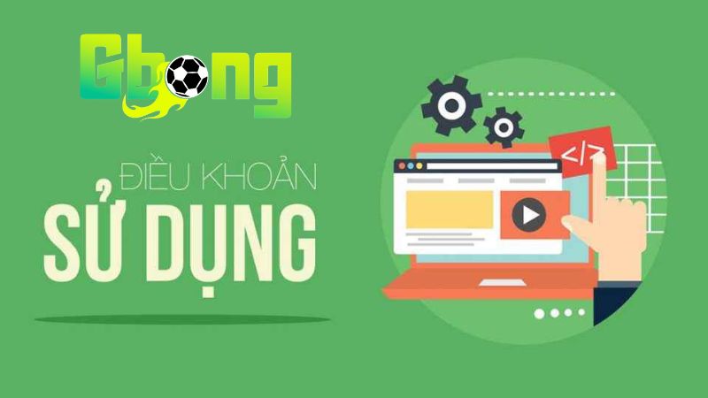 Nội Dung Quan Trọng Trong Điều Khoản Sử Dụng Gbong